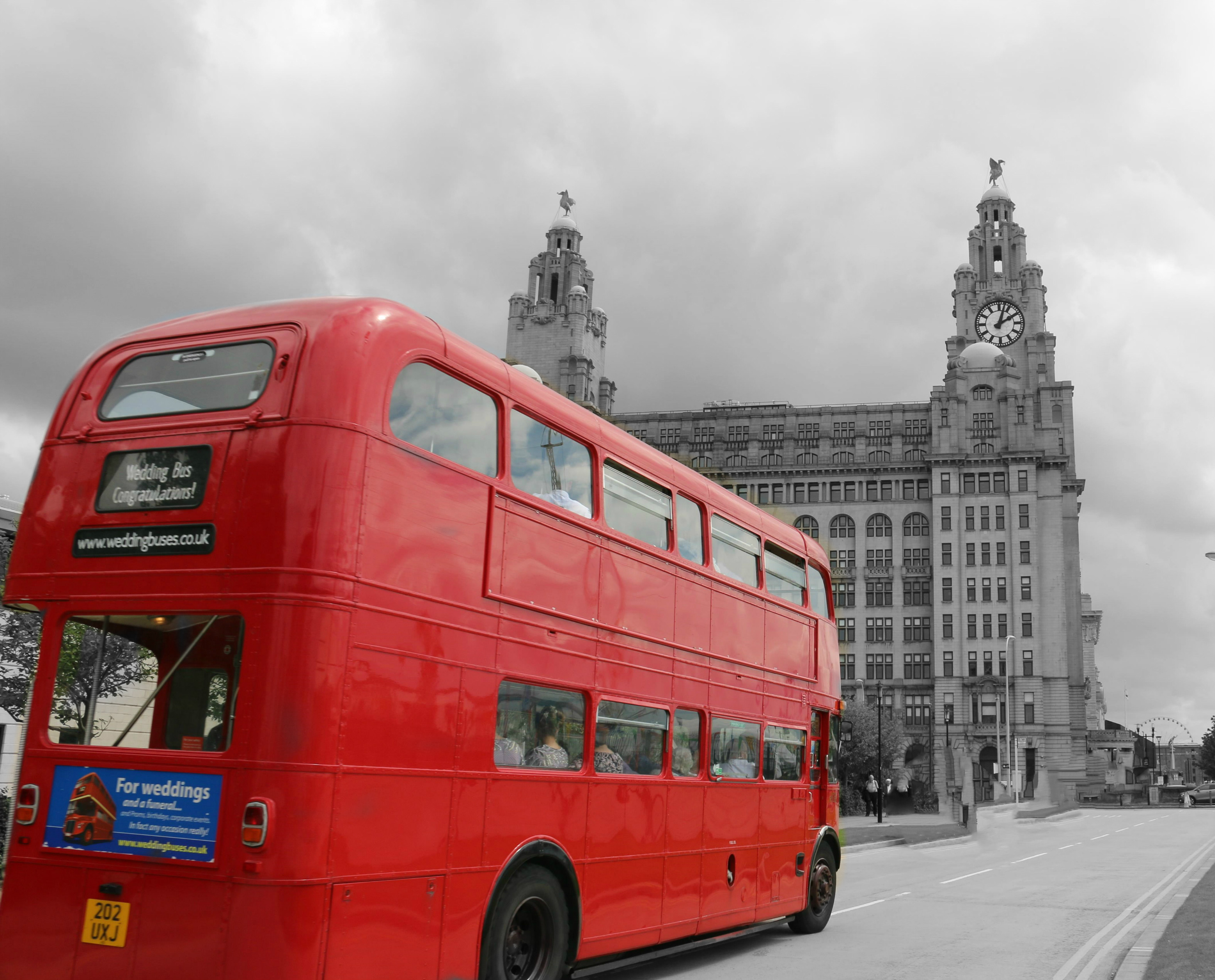 Big red bus Shutterbug